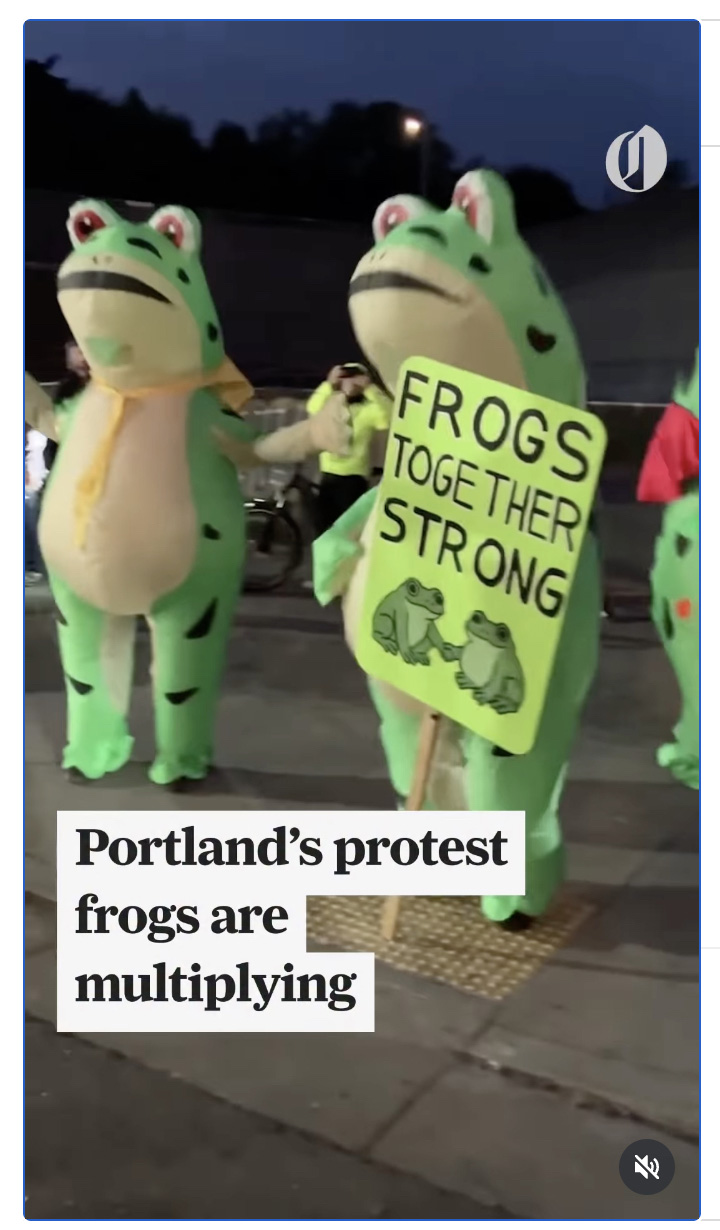 Frogs For Peace Screenshot 1
