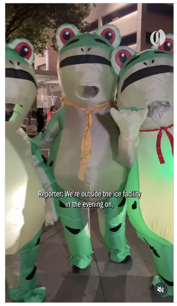Frogs For Peace Screenshot 2