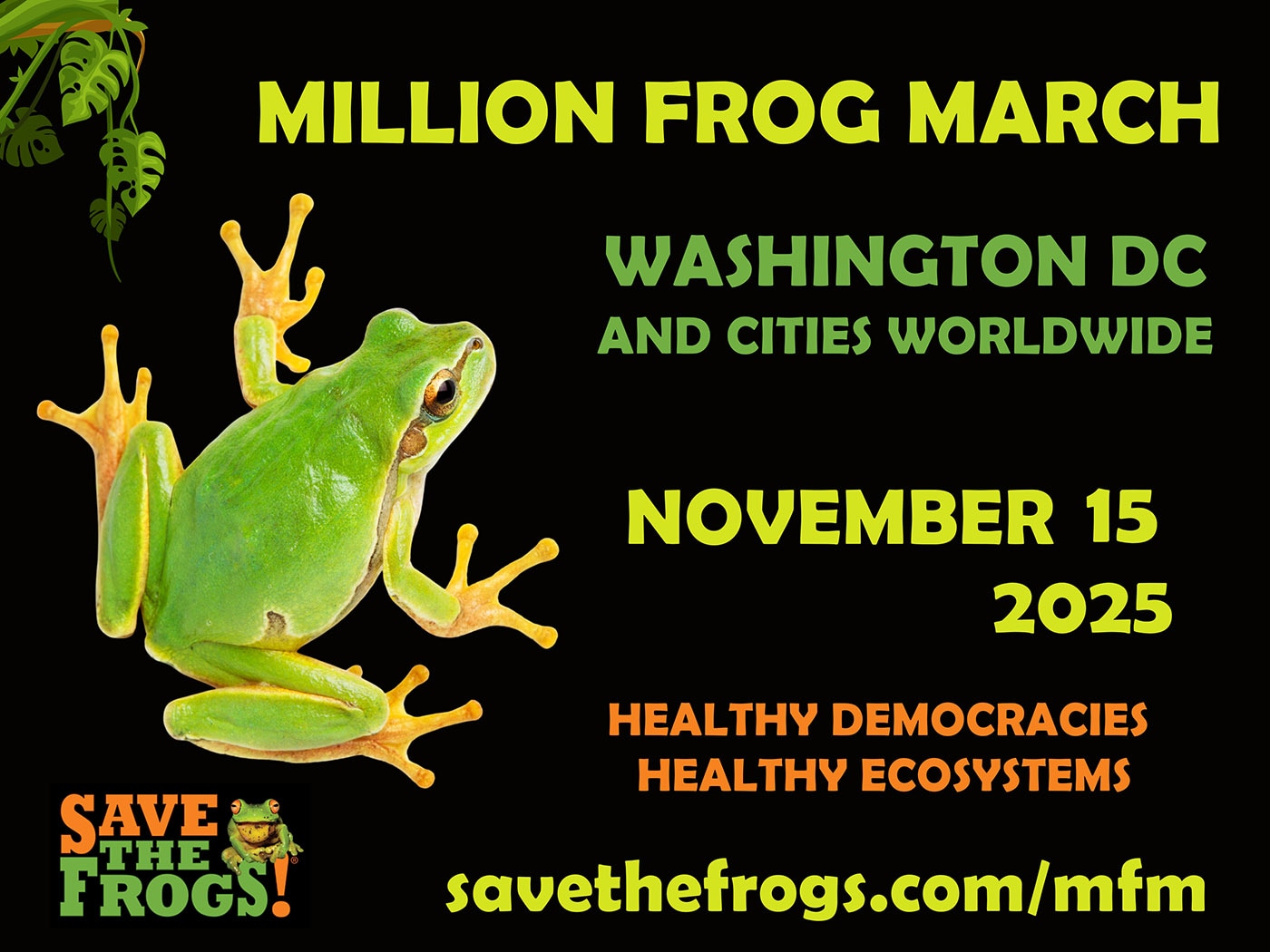 Million Frog March Icon 1 1400
