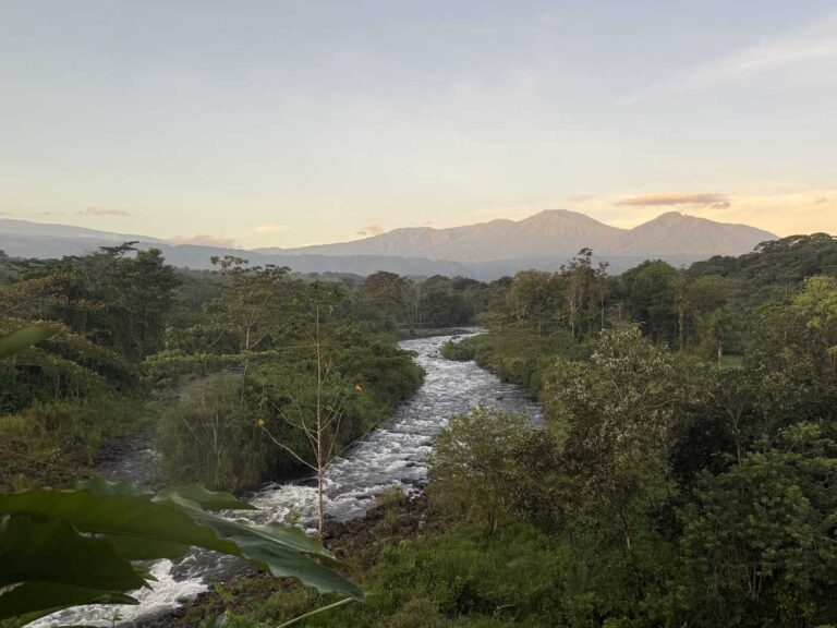 Costa Rica Volunteering Gage Denney May 2026 Save The Frogs 87