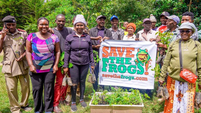 Kenya Taita Hills Save The Frogs Day — Fredrick Kioko