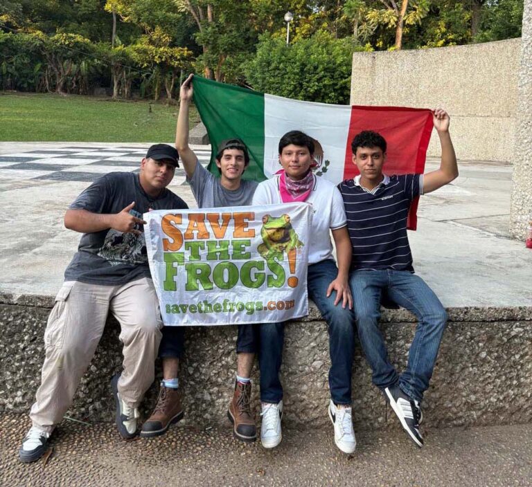 Mexico - Tabasco - Villahermosa - Award Activities 2025 - 07