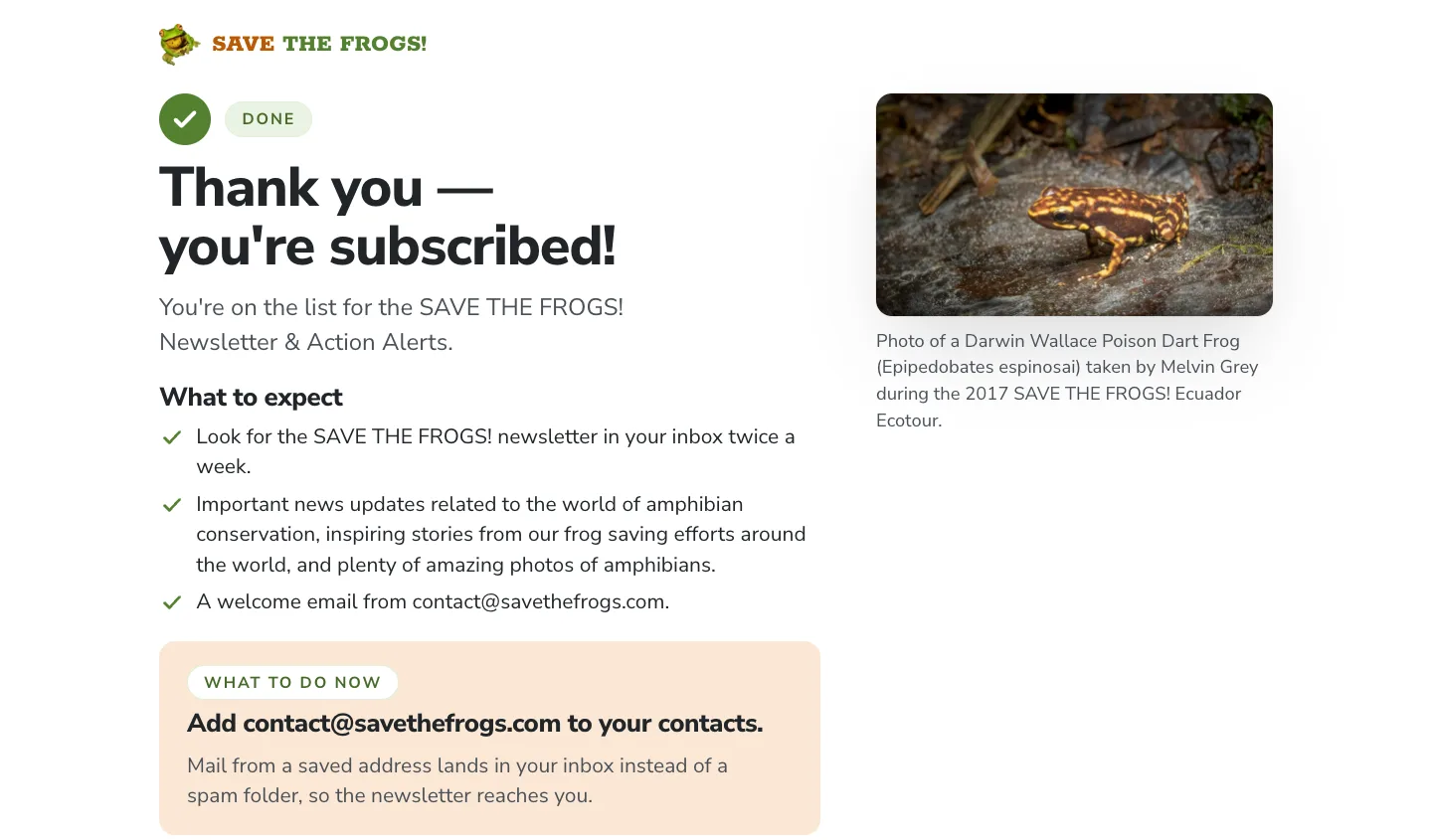 Screenshot of the newsletter thank-you page: the SAVE THE FROGS! wordmark over a green done mark and the headline “Thank you — you're subscribed!”, a What to expect list and a pale orange What to do now panel, beside a landscape photograph of a Darwin Wallace poison dart frog on wet rock