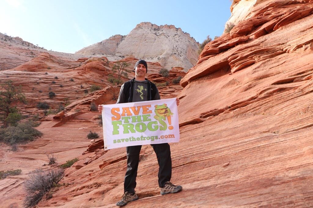 03 21 zion utah kerry kriger save the frogs flag 1 1400 1