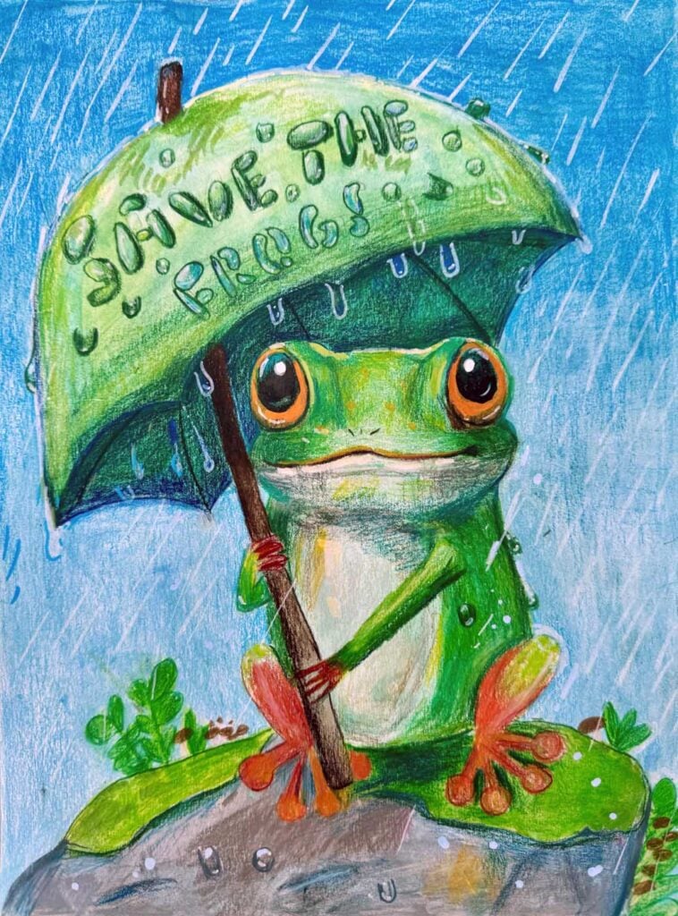 Bryanna-Chen-USA-2024-save-the-frogs-art-contest-3rd-Place