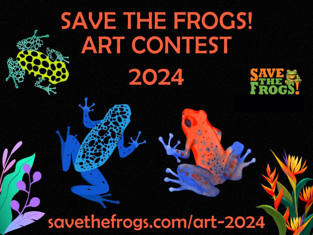 Art Contest 2024 Icon - Save The Frogs