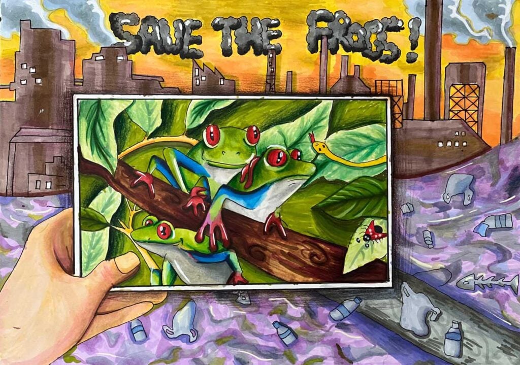 Aydan-Chang-Singapore-2024-save-the-frogs-art-contest-finalist