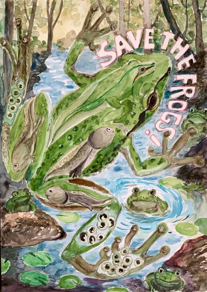 Benjamin-Gu-Canada-2024-save-the-frogs-art-contest-finalist