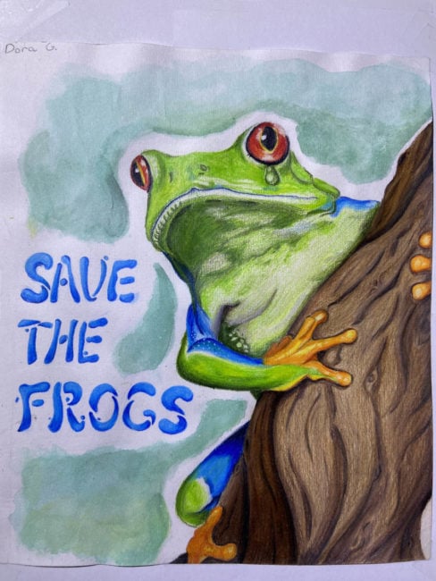 Frog Artists