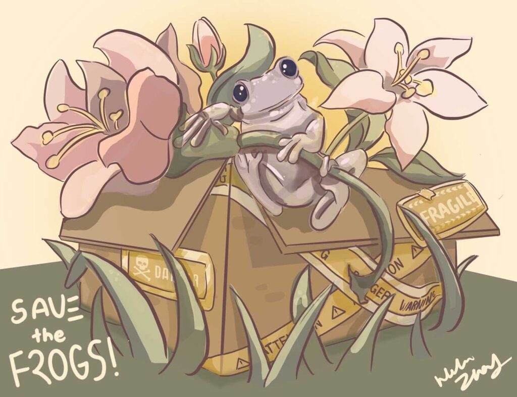 Helen-Zhang-USA-2024-save-the-frogs-art-contest-semi-finalist