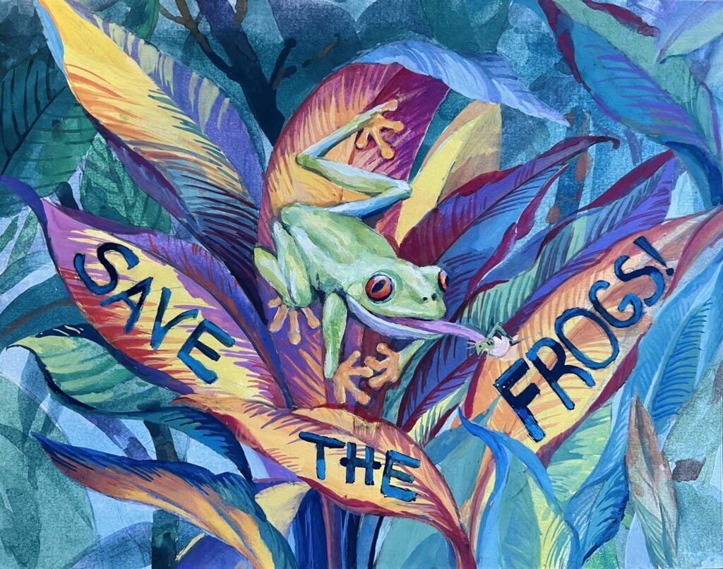 Junie-Fang-USA-2024-save-the-frogs-art-contest-finalist