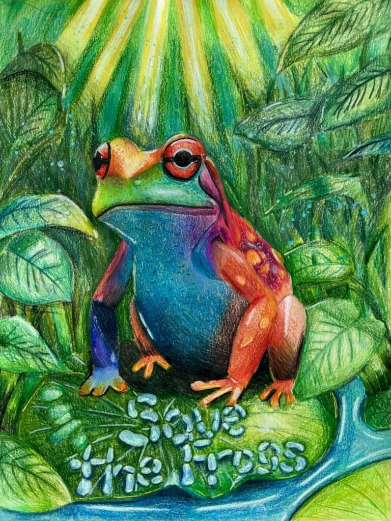 Katherine-Chang-USA-2024-save-the-frogs-art-contest-finalist