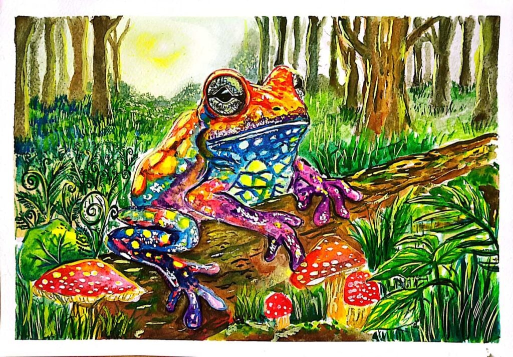 Kawitsara-Kamchaiyaphoom-Thailand-2024-save-the-frogs-art-contest-finalist