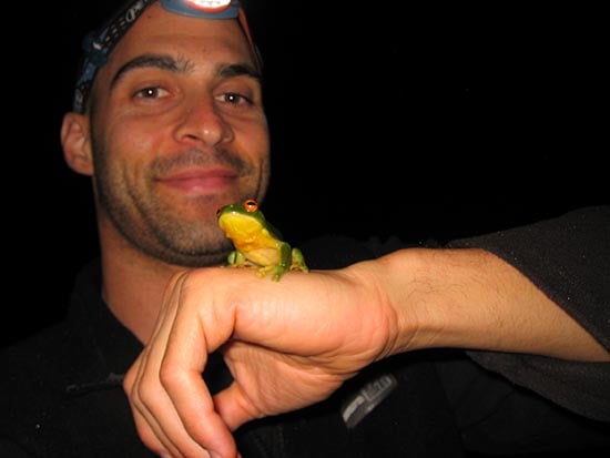 Kerry Kriger Frogs