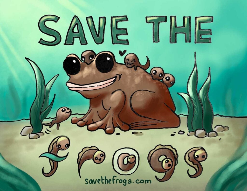Lisa-Trinh-USA-2024-save-the-frogs-art-contest-semi-finalist