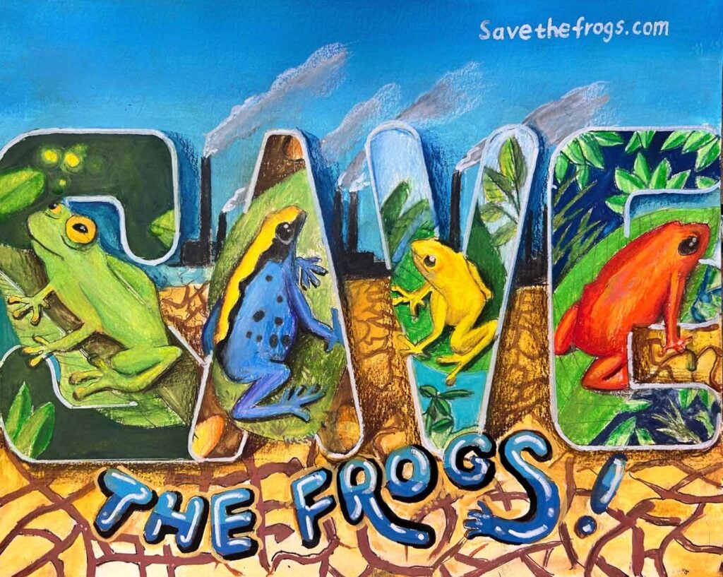 Luke-Zhang-USA-2024-save-the-frogs-art-contest-finalist