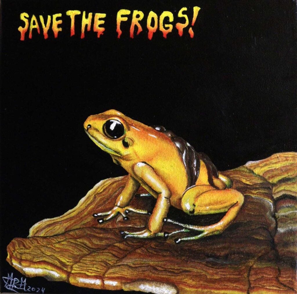Maribel-Rojas-Montoya-Colombia-2024-save-the-frogs-art-contest-semi-finalist