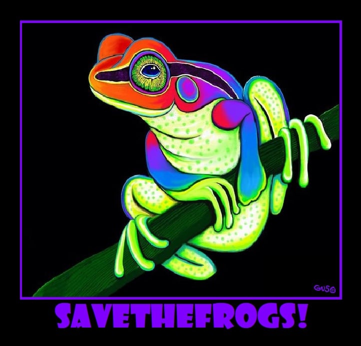 Nick Gustafson Frog Art