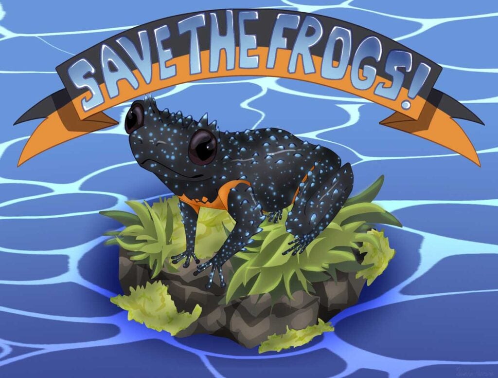 Quiara-Herrera-USA-2024-save-the-frogs-art-contest-semi-finalist