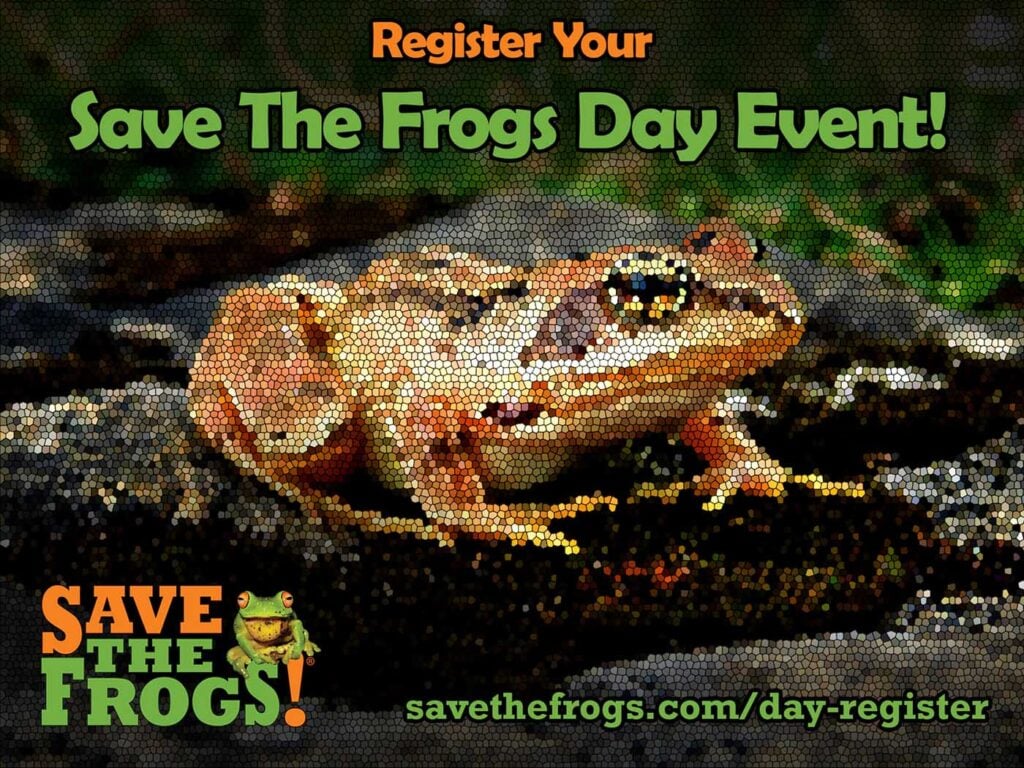 Register Your Save The Frogs Day Event