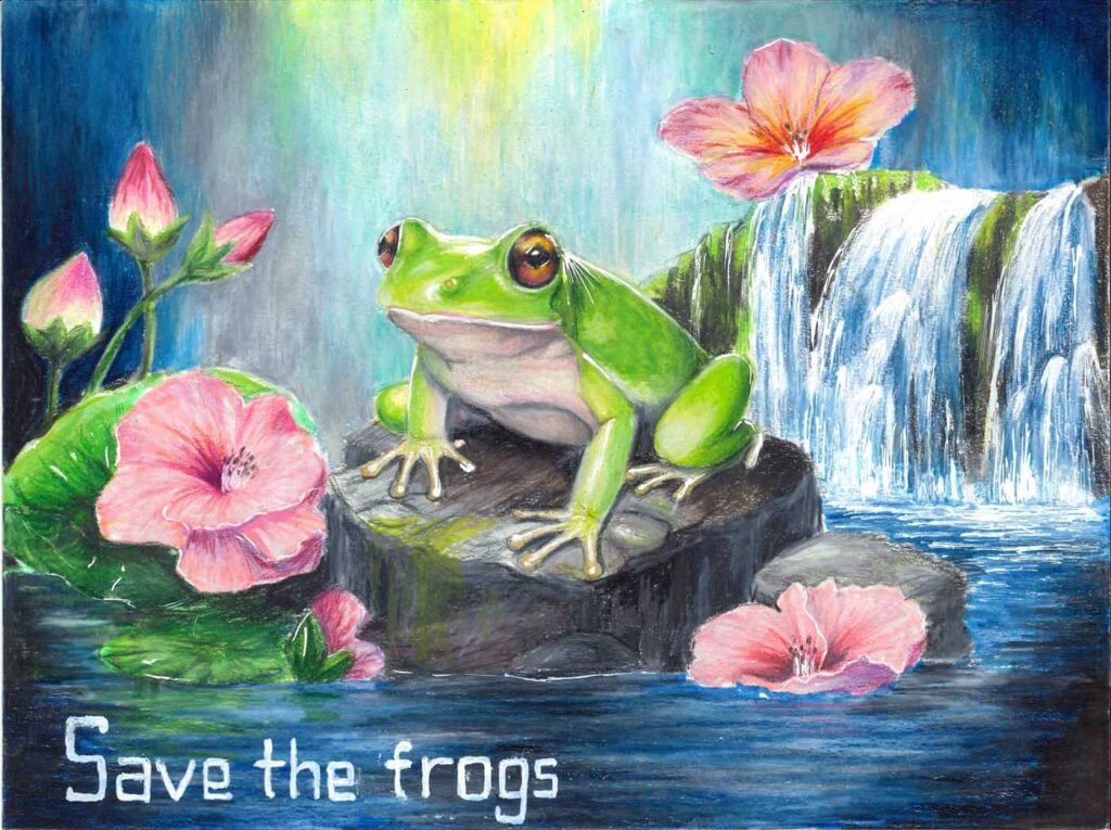 Ruizi-Tang-USA-2024-save-the-frogs-art-contest-finalist