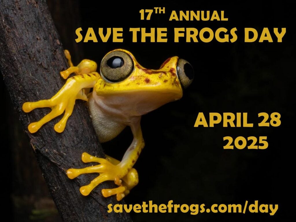 Save The Frogs Day 2025 Icon