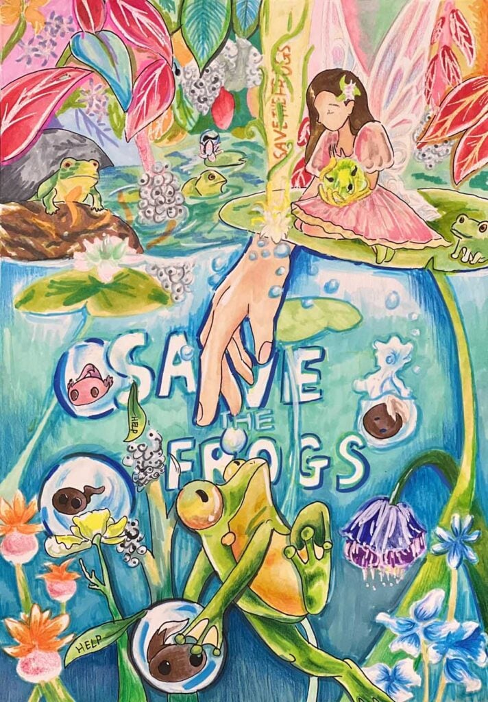 Shuhan-Dong-Singapore-2024-save-the-frogs-art-contest-finalist