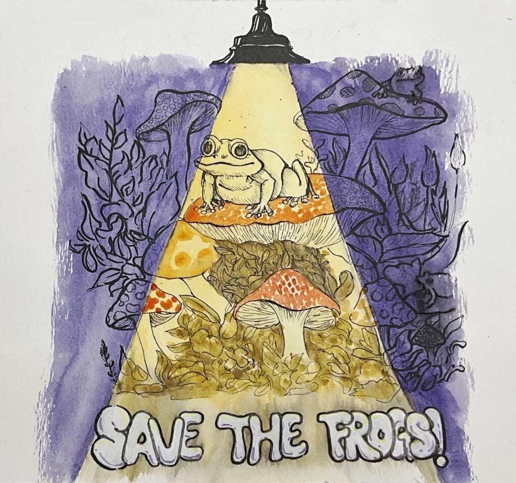 Sophia-Ren-Canada-2024-save-the-frogs-art-contest-finalist