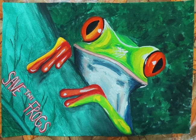 Vera dobrovolskyte egypt 2020 save the frogs art contest