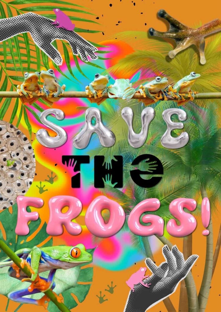 Vy-Hoang-Vietnam-2024-save-the-frogs-art-contest-semi-finalist
