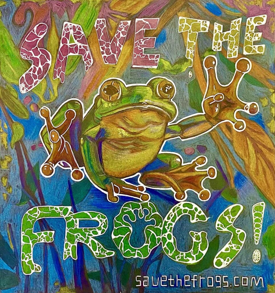 ZIYUE-CHEN-China-2024-save-the-frogs-art-contest-finalist