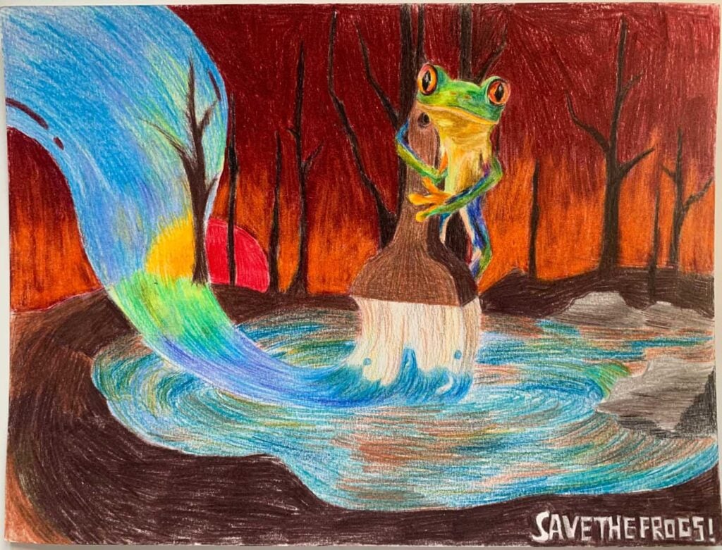 Zishan-Gao-Canada-2024-save-the-frogs-art-contest-finalist