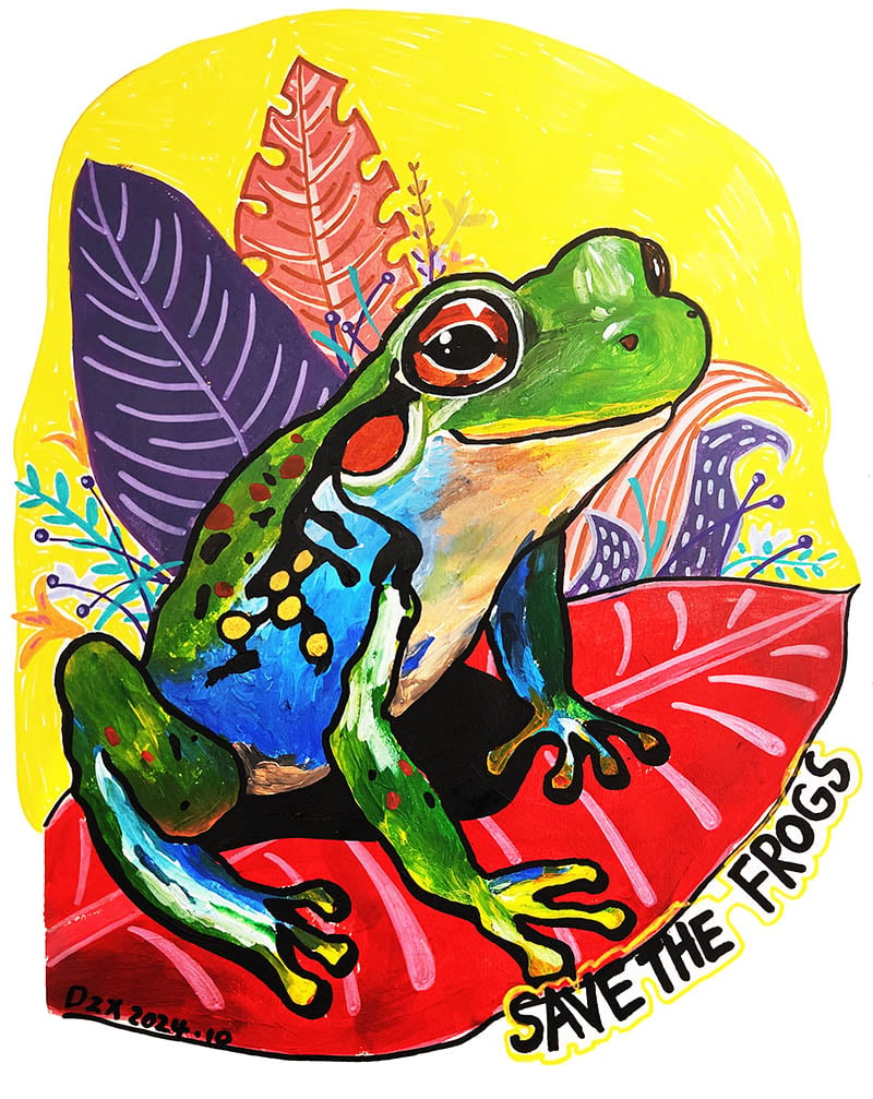 ZixuanDe-12-China-savethefrogs-art-contest2024