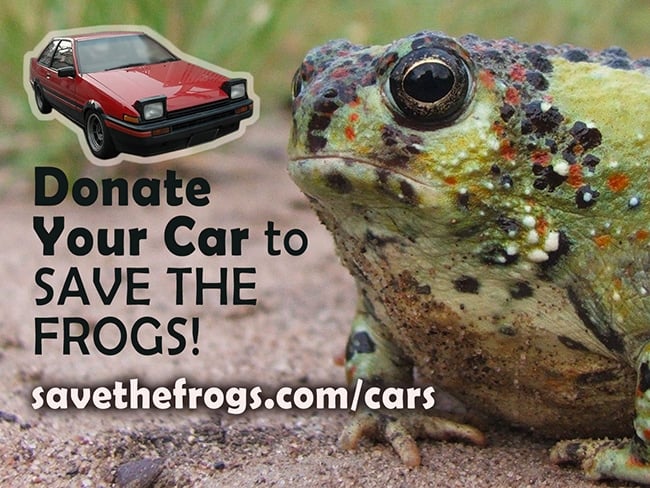 Donate Vehicle Charity