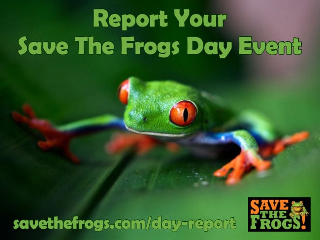 Save The Frogs Day Reporting